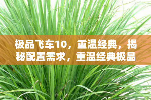 极品飞车10，重温经典，揭秘配置需求，重温经典极品飞车10揭秘配置需求