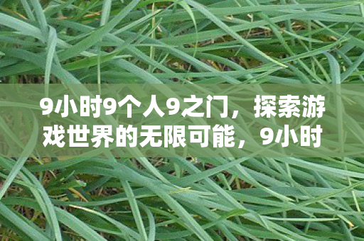 9小时9个人9之门，探索游戏世界的无限可能，9小时9个人9之门，探索游戏世界的无限可能