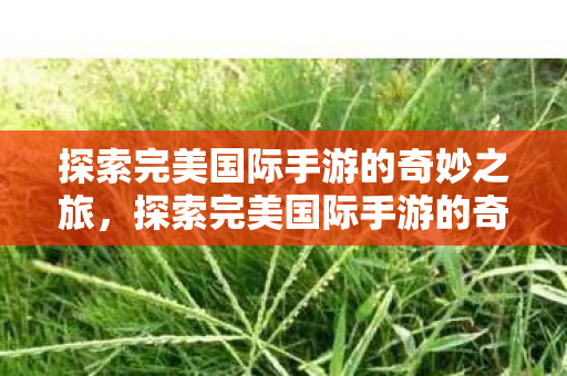 探索完美国际手游的奇妙之旅,探索完美国际手游的奇妙冒险之旅 探索完美国际手游的奇妙之旅,探索完美国际手游的奇妙冒险之旅