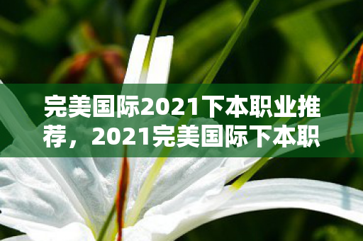 完美国际2021下本职业推荐,2021完美国际下本职业推荐,打造高效团队,选择这些职业! 完美国际2021下本职业推荐,2021完美国际下本职业推荐,打造高效团队,选择这些职业!