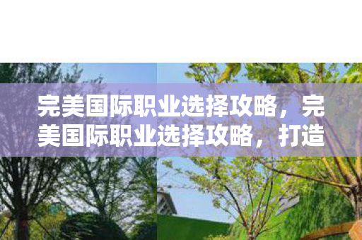完美国际职业选择攻略,完美国际职业选择攻略,打造你的专属职业之路 完美国际职业选择攻略,完美国际职业选择攻略,打造你的专属职业之路