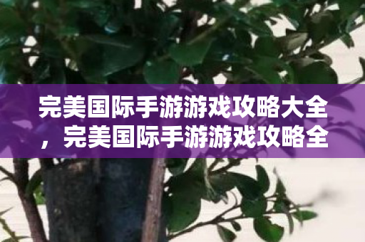 完美国际手游游戏攻略全解析图片