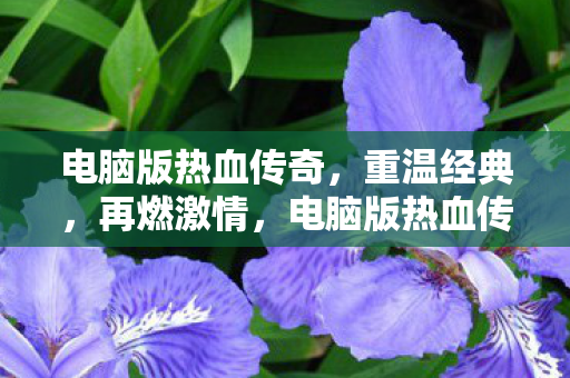 电脑版热血传奇图片