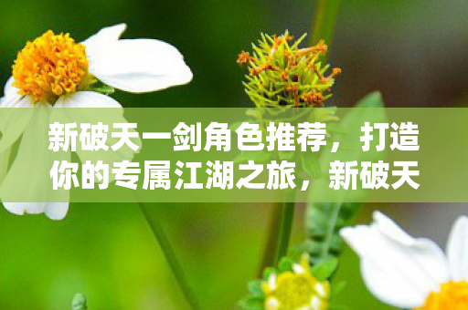 打造专属江湖之旅的角色推荐图片