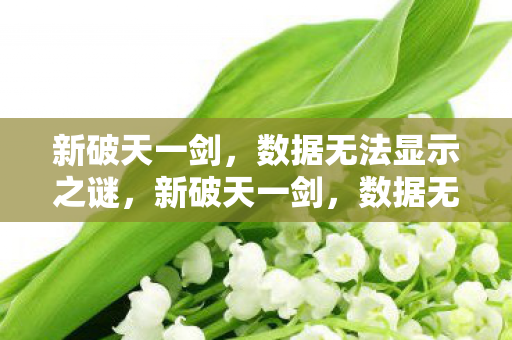 新破天一剑，数据无法显示之谜，新破天一剑，数据无法显示之谜
