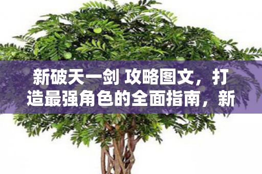 新破天一剑 攻略图文，打造最强角色的全面指南，新破天一剑，打造最强角色全面攻略