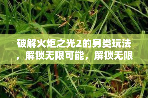 破解火炬之光2的另类玩法，解锁无限可能，解锁无限可能，火炬之光2另类玩法全攻略