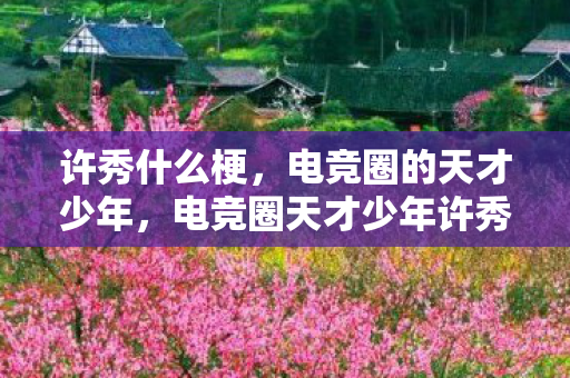 许秀什么梗，电竞圈的天才少年，电竞圈天才少年许秀，实力与梗齐飞的传奇故事