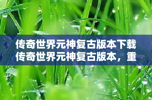 传奇世界元神复古版本下载传奇世界元神复古版本图片