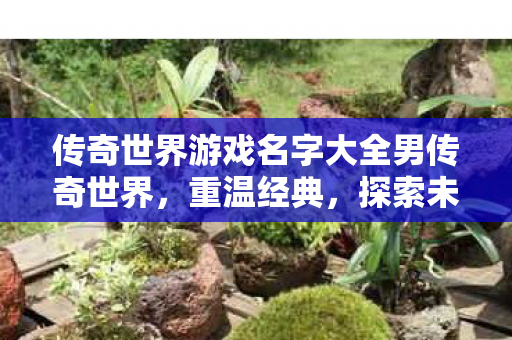 传奇世界游戏名字大全男传奇世界图片