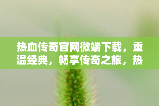 热血传奇官网微端下载图片
