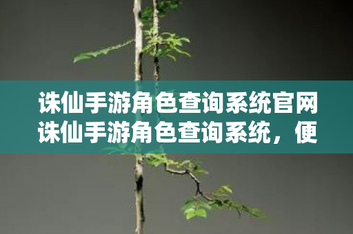 诛仙手游角色查询系统官网诛仙手游角色查询系统，便捷查询，打造个性化游戏体验，诛仙手游角色查询系统，打造个性化游戏体验
