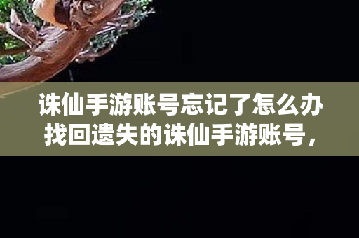诛仙手游账号忘记了怎么办找回遗失的诛仙手游账号，跨越区服的寻访之旅，找回遗失的诛仙手游账号，跨越区服的寻访之旅