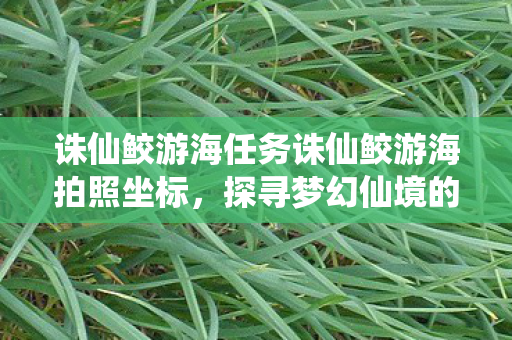 诛仙鲛游海任务诛仙鲛游海拍照坐标,探寻梦幻仙境的绝美瞬间,探寻梦幻仙境,诛仙鲛游海任务拍照坐标 诛仙鲛游海任务诛仙鲛游海拍照坐标,探寻梦幻仙境的绝美瞬间,探寻梦幻仙境,诛仙鲛游海任务拍照坐标