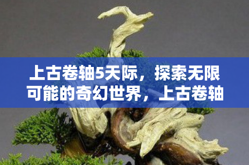 上古卷轴5天际，探索无限可能的奇幻世界，上古卷轴5，天际探索奇幻世界的无限可能