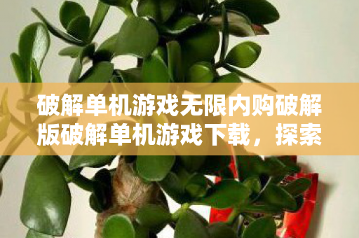 破解单机游戏无限内购破解版破解单机游戏下载，探索合法途径与注意事项，如何合法破解单机游戏内购，探索破解版下载与注意事项