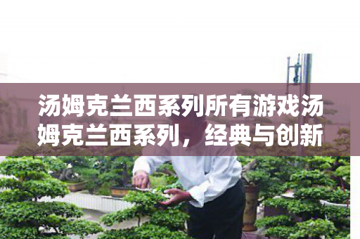 汤姆克兰西系列所有游戏汤姆克兰西系列，经典与创新的碰撞，汤姆克兰西系列，经典与创新的碰撞