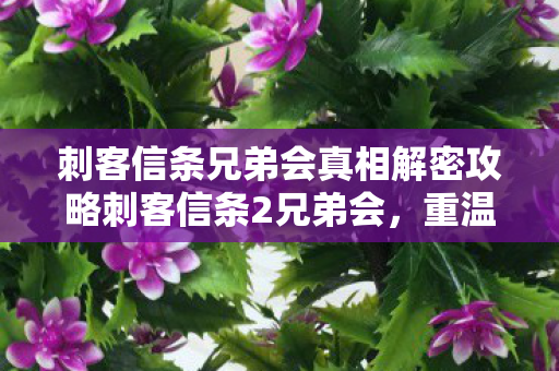 刺客信条兄弟会真相解密攻略刺客信条2兄弟会,重温经典,探索兄弟会背后的历史与传奇,刺客信条2兄弟会真相解密,重温经典,探索兄弟会背后的历史与传奇 刺客信条兄弟会真相解密攻略刺客信条2兄弟会,重温经典,探索兄弟会背后的历史与传奇,刺客信条2兄弟会真相解密,重温经典,探索兄弟会背后的历史与传奇