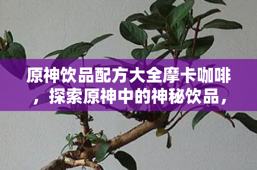 原神饮品配方大全摩卡咖啡，探索原神中的神秘饮品，原神摩卡咖啡，探索神秘饮品的美味之旅