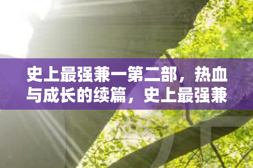 史上最强兼一第二部，热血与成长的续篇，史上最强兼一第二部，热血与成长的续篇震撼来袭！