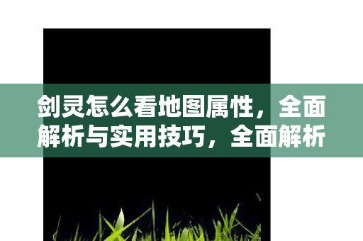 全面解析剑灵地图属性与实用技巧图片