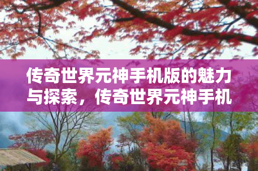 传奇世界元神手机版的魅力探索之旅图片