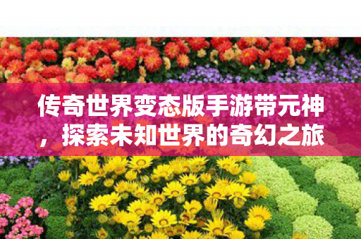 传奇世界变态版手游带元神,探索未知世界的奇幻之旅,探索未知世界的奇幻之旅,传奇世界变态版手游带元神 传奇世界变态版手游带元神,探索未知世界的奇幻之旅,探索未知世界的奇幻之旅,传奇世界变态版手游带元神