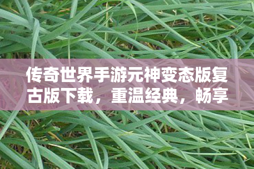 传奇世界手游元神变态版复古版下载图片