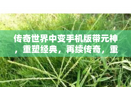 传奇世界中变手机版带元神图片