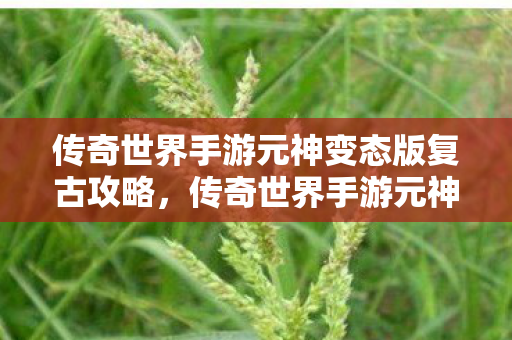 传奇世界手游元神变态版复古版攻略图片