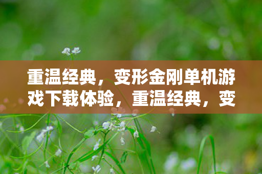 重温经典，变形金刚单机游戏下载体验，重温经典，变形金刚单机游戏下载体验
