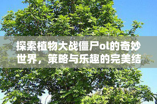 探索植物大战僵尸ol的奇妙世界，策略与乐趣的完美结合，植物大战僵尸OL，策略与乐趣的奇妙结合
