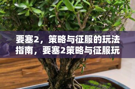 要塞2，策略与征服的玩法指南，要塞2策略与征服玩法全解析