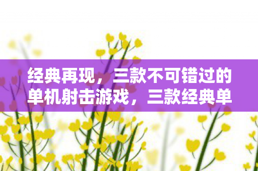 经典再现，三款不可错过的单机射击游戏，三款经典单机射击游戏，不容错过！