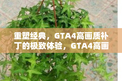 重塑经典，GTA4高画质补丁的极致体验，GTA4高画质补丁，重塑经典，极致体验