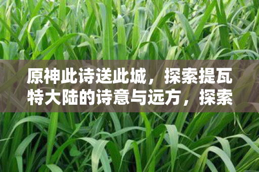 原神此诗送此城,探索提瓦特大陆的诗意与远方,探索提瓦特大陆的诗意与远方,原神此诗送此城 原神此诗送此城,探索提瓦特大陆的诗意与远方,探索提瓦特大陆的诗意与远方,原神此诗送此城