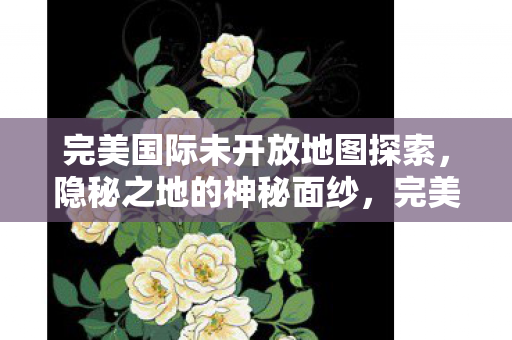 未开放地图的神秘探索之旅图片