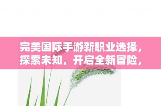 完美国际手游新职业选择图片