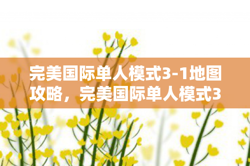 完美国际单人模式3图片