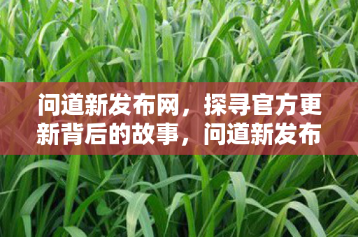 问道新发布网，探寻官方更新背后的故事，问道新发布网，揭秘官方更新背后的故事