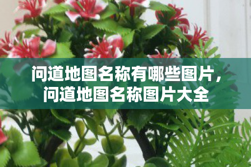 问道地图名称有哪些图片，问道地图名称图片大全