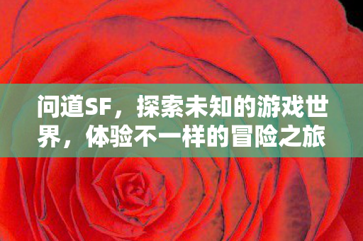 问道SF，探索未知的游戏世界，体验不一样的冒险之旅，探索未知游戏世界，问道SF的冒险之旅