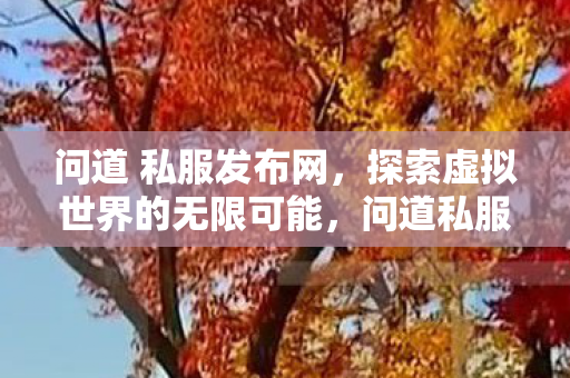 问道 私服发布网，探索虚拟世界的无限可能，问道私服发布网，探索虚拟世界的无限可能
