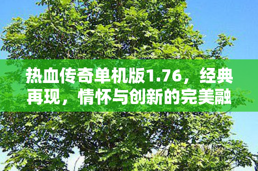 热血传奇单机版1.76，经典再现，情怀与创新的完美融合，热血传奇单机版1.76，经典再现，情怀与创新完美融合