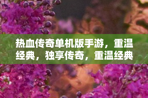 热血传奇单机版手游等你来战图片