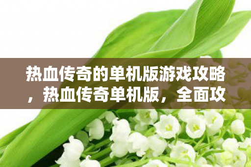 热血传奇的单机版游戏攻略，热血传奇单机版，全面攻略指南