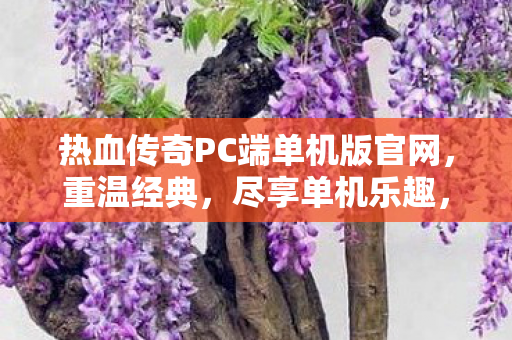 热血传奇PC端单机版官网,重温经典,尽享单机乐趣,热血传奇PC端单机版官网,重温经典,尽享单机乐趣 热血传奇PC端单机版官网,重温经典,尽享单机乐趣,热血传奇PC端单机版官网,重温经典,尽享单机乐趣