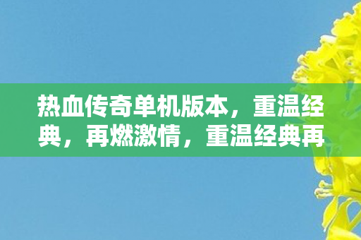 热血传奇单机版本图片