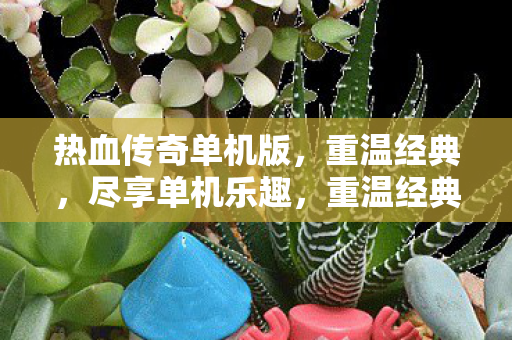 尽享热血传奇单机版乐趣图片
