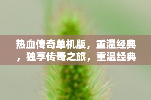 热血传奇单机版独享传奇体验图片